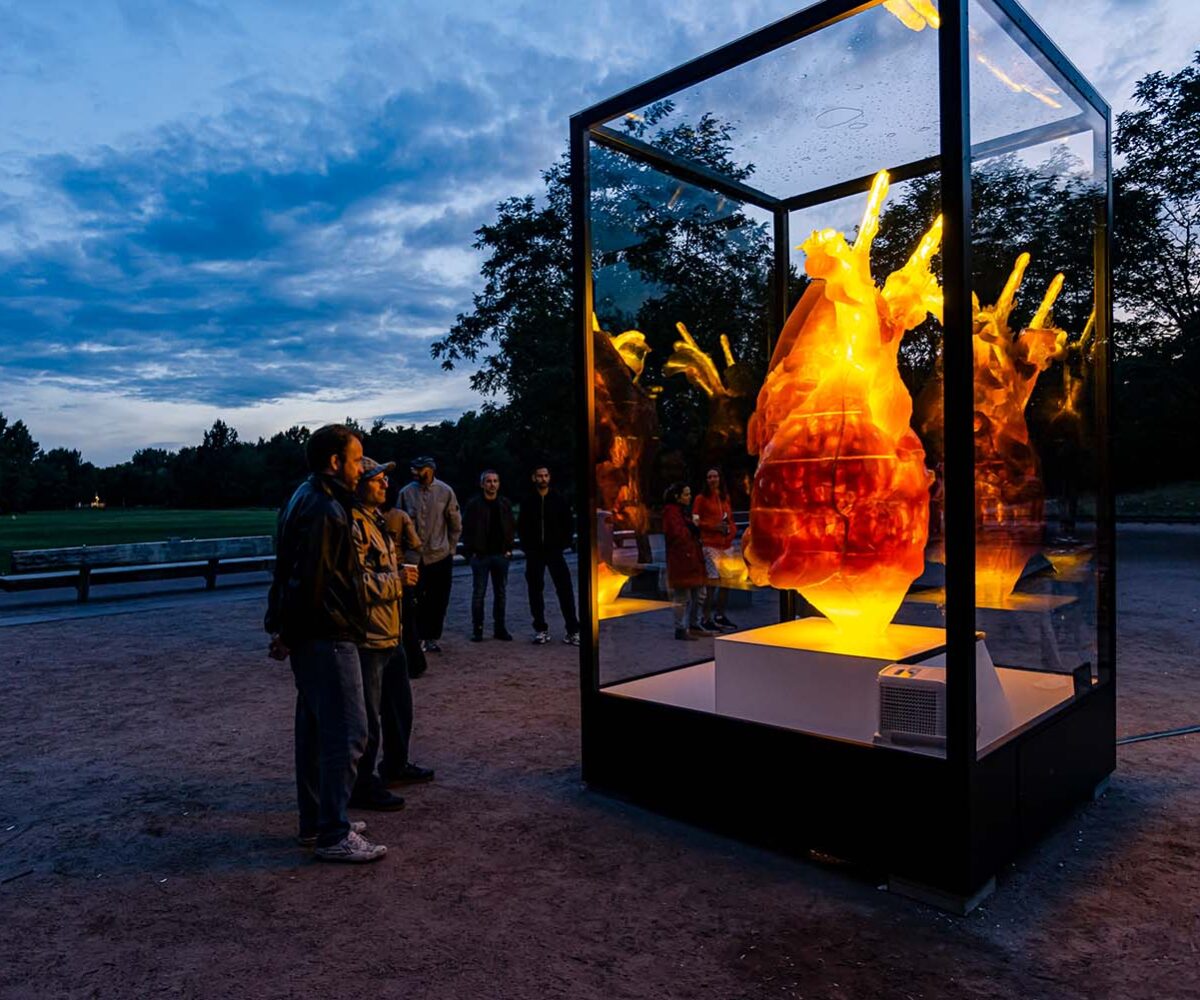 JOSEPH MARR open heart 2024-09 I by PASCAL HOFFMANN -7856 JOSEPH MARR open heart 2024-09 I by PASCAL HOFFMANN -7856